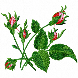 Flowers And Tree Embroidery Design 1 Flowers And Tree Embroidery Design 1
